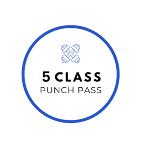 5 Class Punch Pass