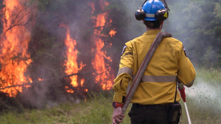 Alberta Wildfire Firefighter