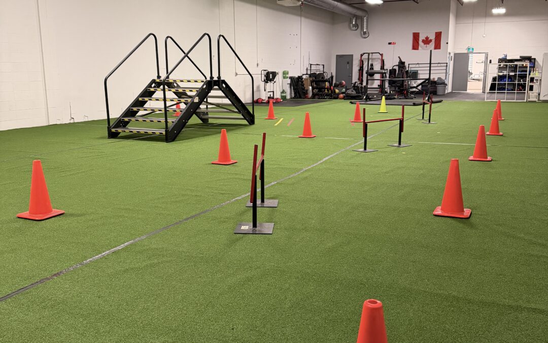 Crush Your Law Enforcement Fitness Goals This February: A Strategic Guide to Law Enforcement Fitness Test Prep