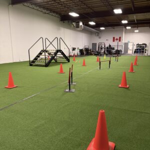 COPAT Course - Blue Line Fitness Testing Edmonton Alberta