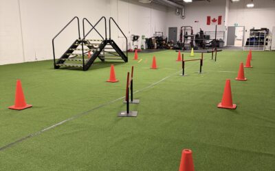 Crush Your Law Enforcement Fitness Goals This February: A Strategic Guide to Law Enforcement Fitness Test Prep