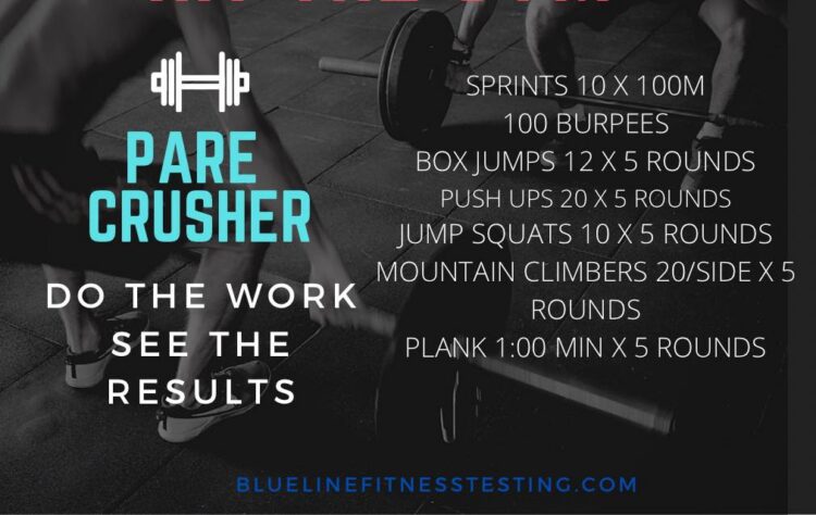 PARE circuit workout from Blue Line Fitness Testing in Edmonton, Alberta